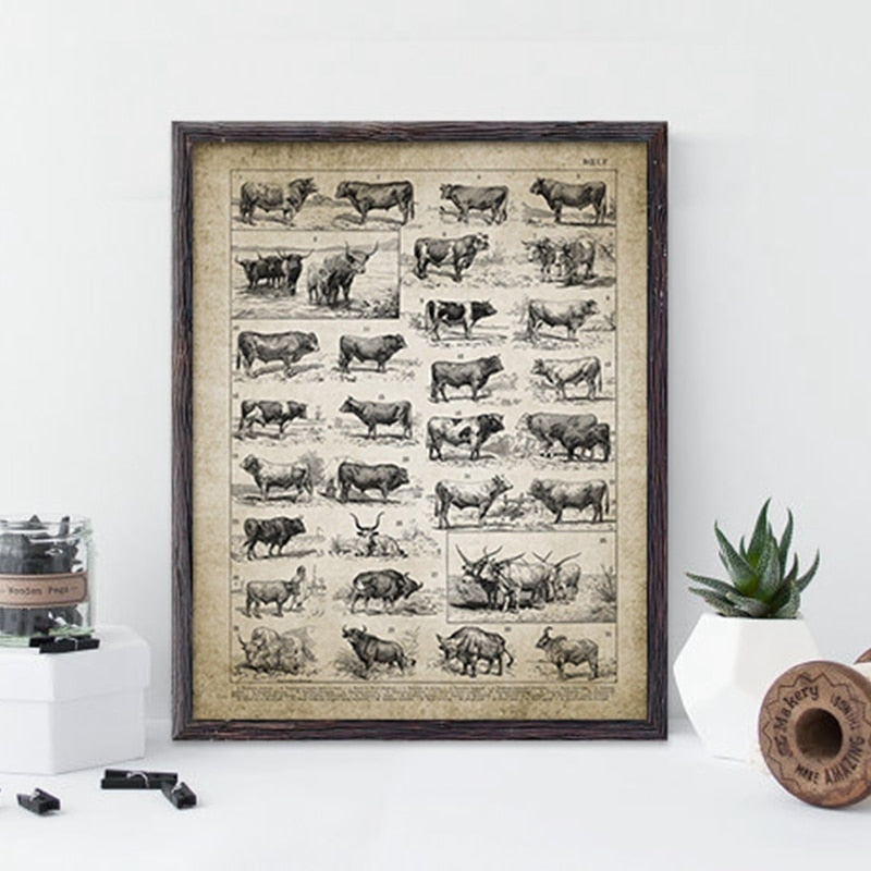 Cattle Breeds Print Wall Art Canvas Home Decor - cow breeds