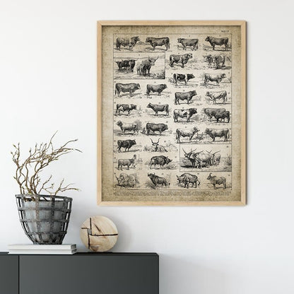 Cattle Breeds Print Wall Art Canvas Home Decor - cow breeds - myfunfarm