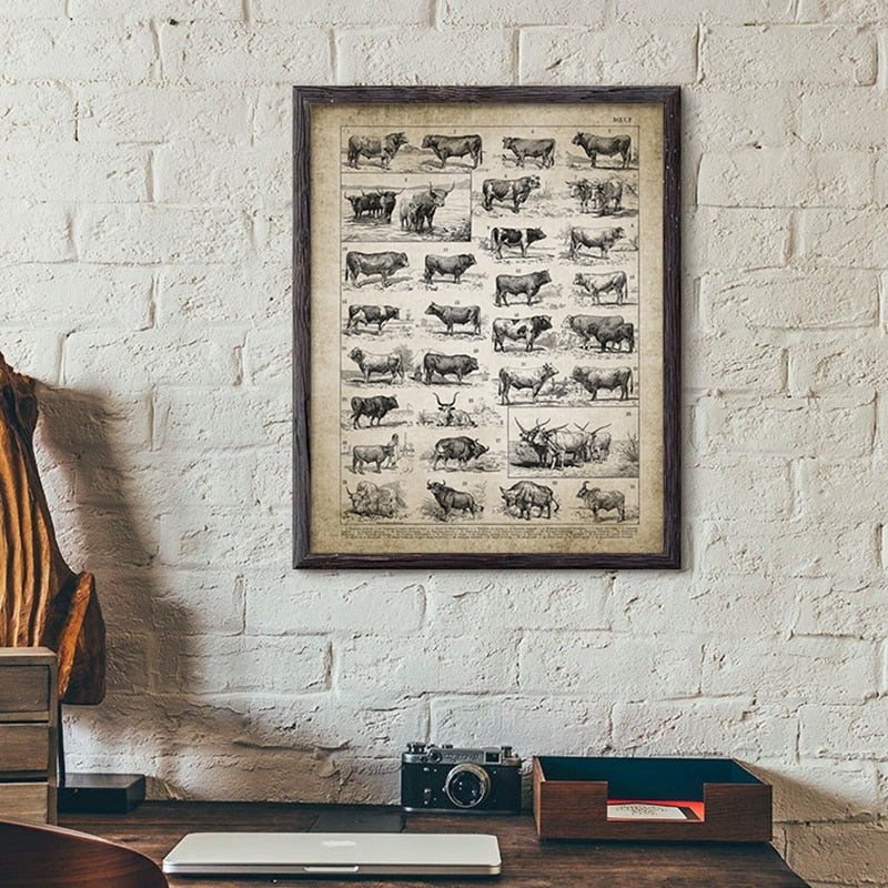 Cattle Breeds Print Wall Art Canvas Home Decor - cow breeds - myfunfarm
