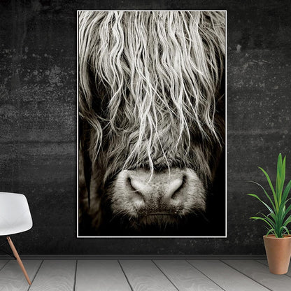 Highlander Cattle print Canvas Wall Art - myfunfarm