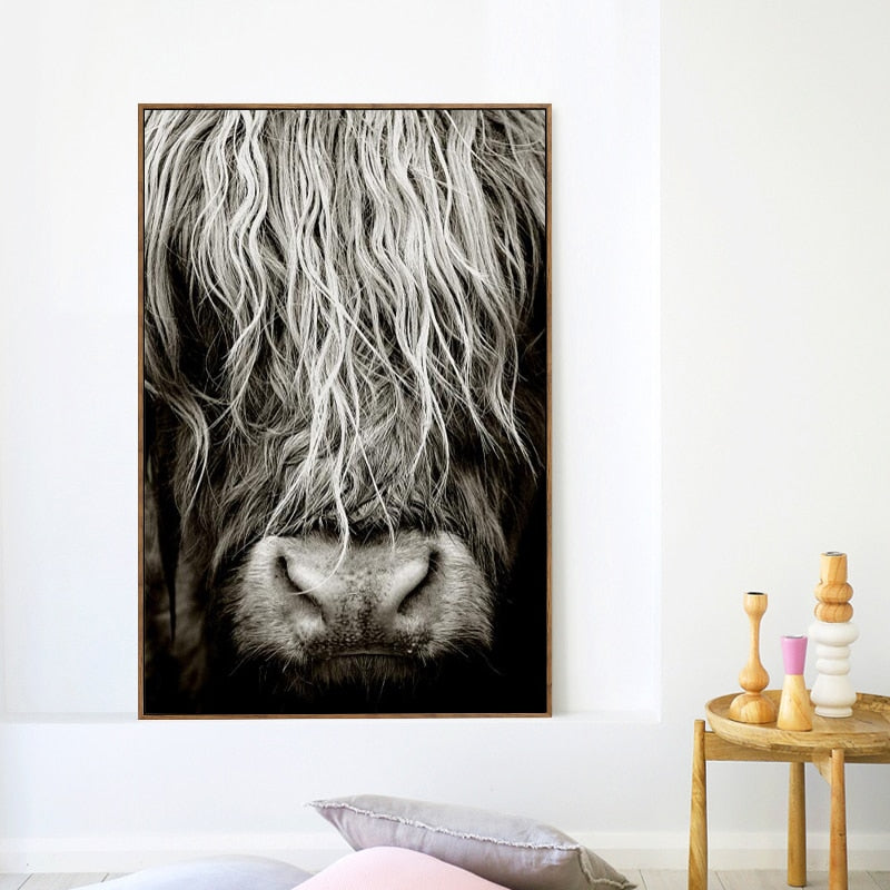 Highlander Cattle print Canvas Wall Art - myfunfarm