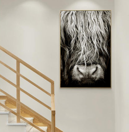 Highlander Cattle print Canvas Wall Art - myfunfarm
