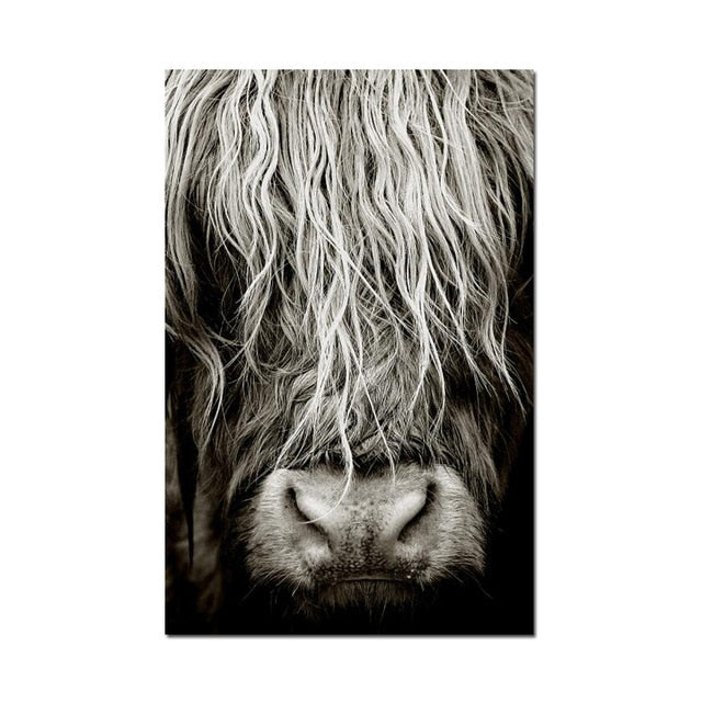 Highlander Cattle print Canvas Wall Art - myfunfarm