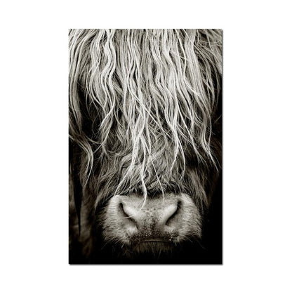 Highlander Cattle print Canvas Wall Art - myfunfarm
