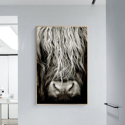 Highlander Cattle print Canvas Wall Art - myfunfarm