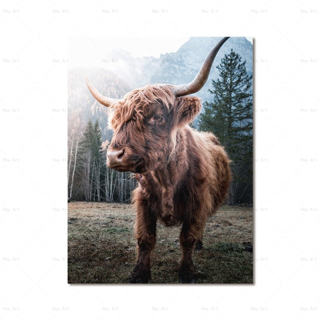 Highland Cow Wall Art canvas print - myfunfarm