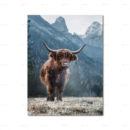 Highland Cow Wall Art canvas print - myfunfarm