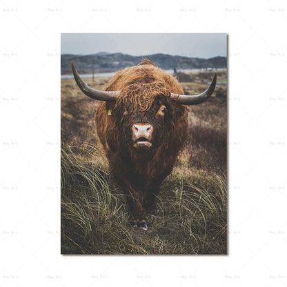 Highland Cow Wall Art canvas print - myfunfarm