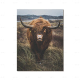 Highland Cow Wall Art canvas print
