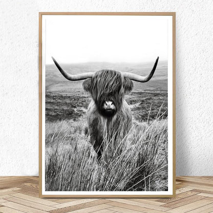 Black and White Highland Cow - Decor Wall Art Canvas Painting - myfunfarm