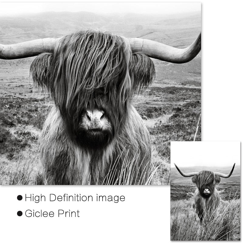 Black and White Highland Cow - Decor Wall Art Canvas Painting - myfunfarm