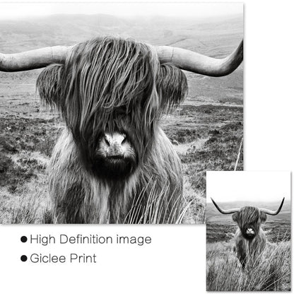 Black and White Highland Cow - Decor Wall Art Canvas Painting - myfunfarm
