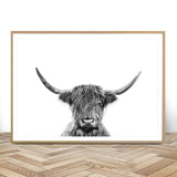 Black and White Highland Cow - Decor Wall Art Canvas Painting
