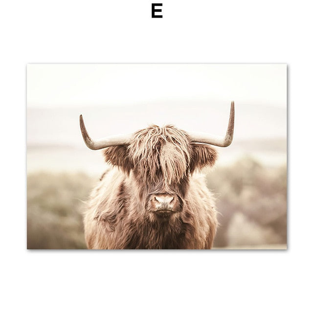 Highland Cattle Reed Autumn Landscape Wall Art Canvas Prints - myfunfarm