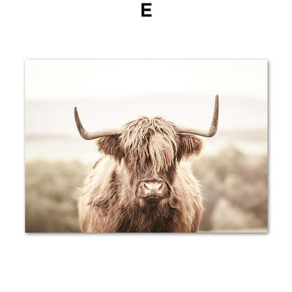 Highland Cattle Reed Autumn Landscape Wall Art Canvas Prints - myfunfarm
