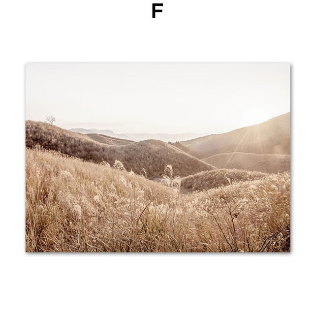 Highland Cattle Reed Autumn Landscape Wall Art Canvas Prints - myfunfarm