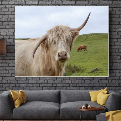 Highland Cow Wall Art Canvas Prints - myfunfarm