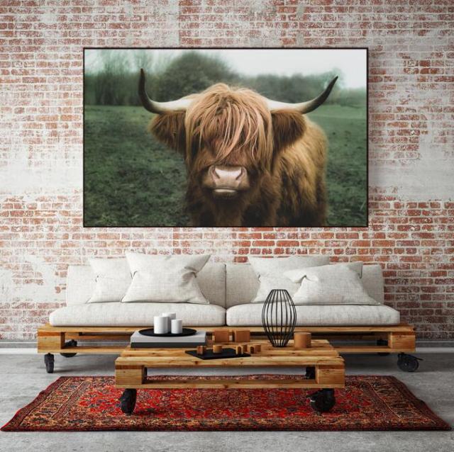 Highland Cow Wall Art Canvas Prints - myfunfarm