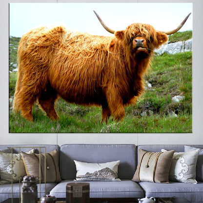 Highland Cow Wall Art Canvas Prints - myfunfarm