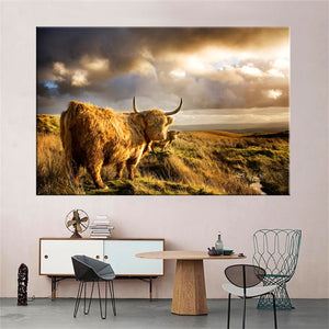 Highland Cow Wall Art Canvas Prints