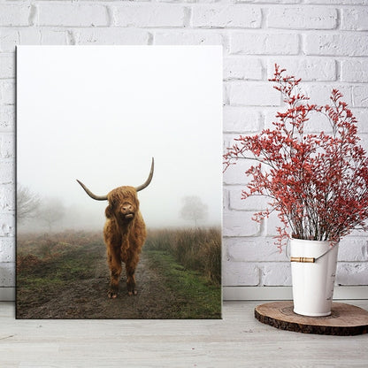 Highland Cow Wall Art Canvas Prints - myfunfarm