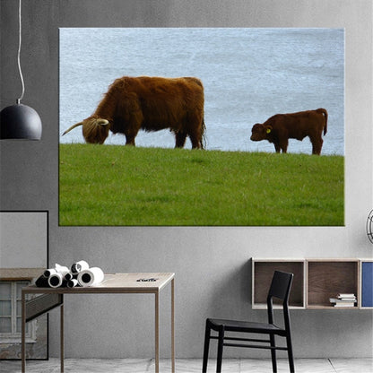Highland Cow Wall Art Canvas Prints - myfunfarm