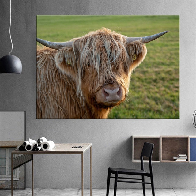 Highland Cow Wall Art Canvas Prints - myfunfarm