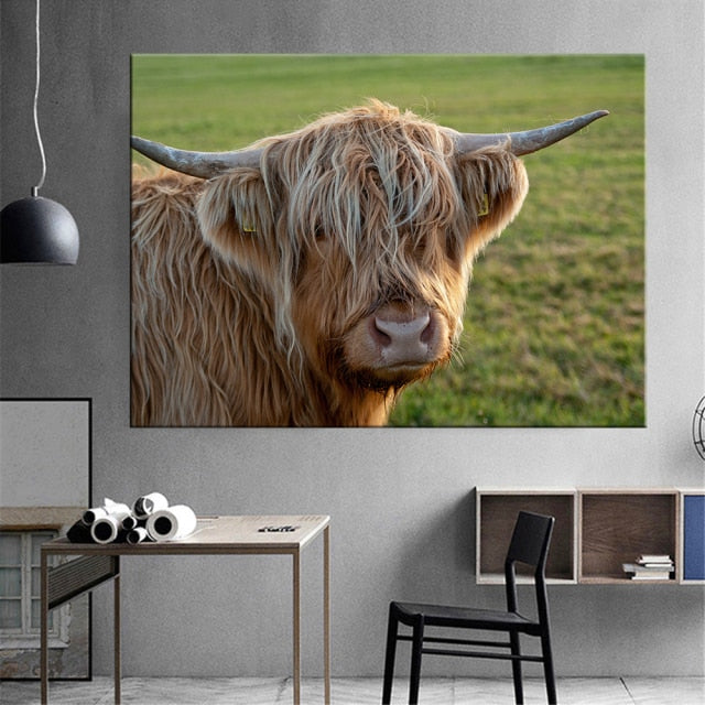 Highland Cow Wall Art Canvas Prints