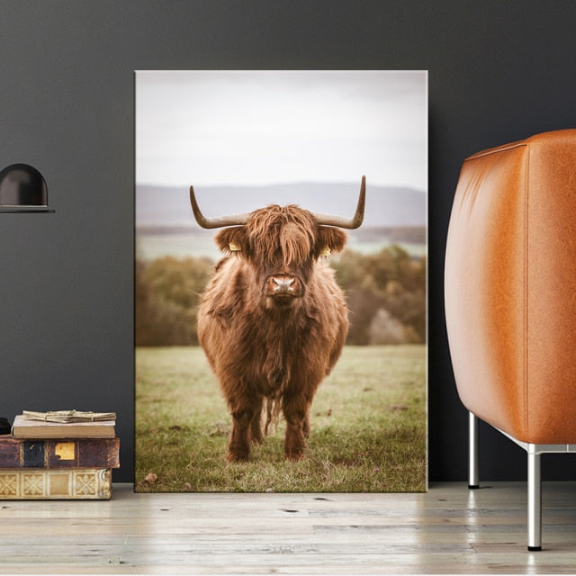 Highland Cow Wall Art Canvas Prints - myfunfarm