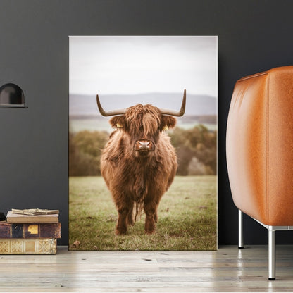 Highland Cow Wall Art Canvas Prints - myfunfarm