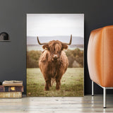 Highland Cow Wall Art Canvas Prints