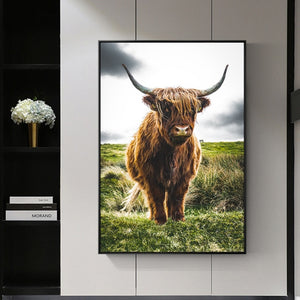 Highland Cow Wall Art Canvas Prints