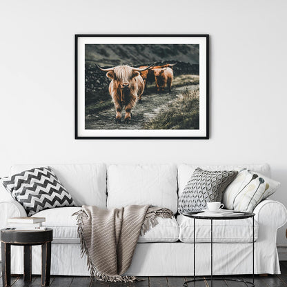 Highland Cow Wall Art Print - myfunfarm