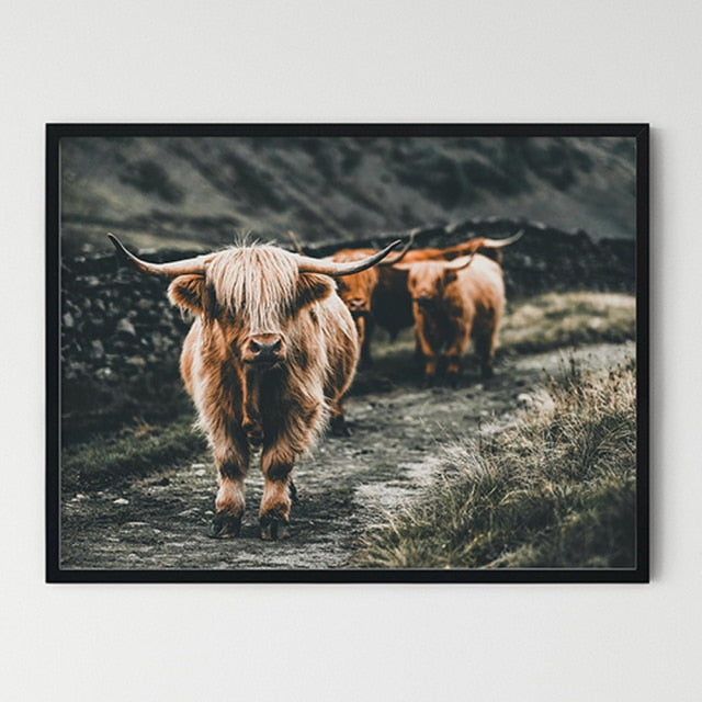 Highland Cow Wall Art Print - myfunfarm