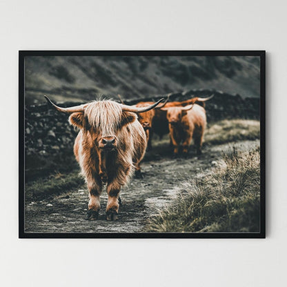 Highland Cow Wall Art Print - myfunfarm
