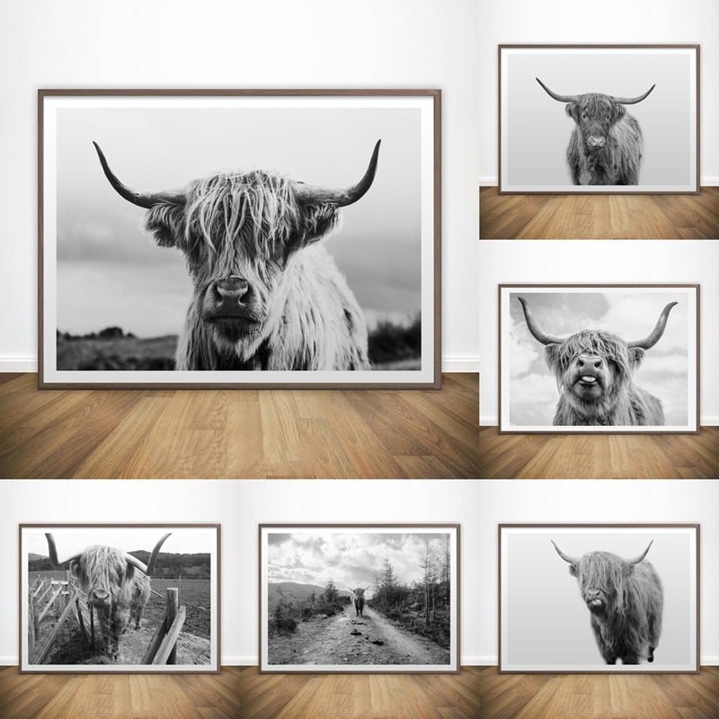 Black and White Highland Cow Wall Canvas Art Print Wall