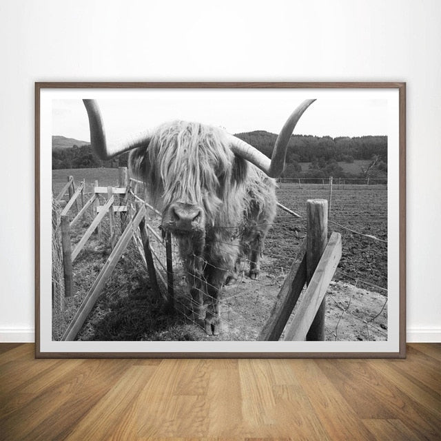 Black and White Highland Cow Wall Canvas Art Print Wall - myfunfarm