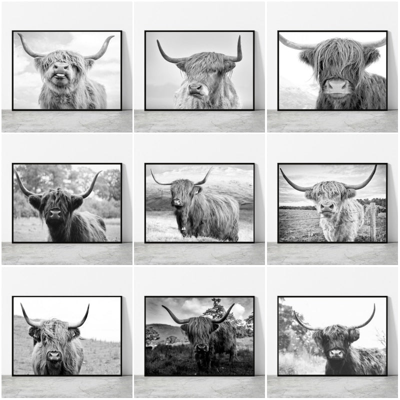 Black and White Highland Cow Canvas Prints - myfunfarm