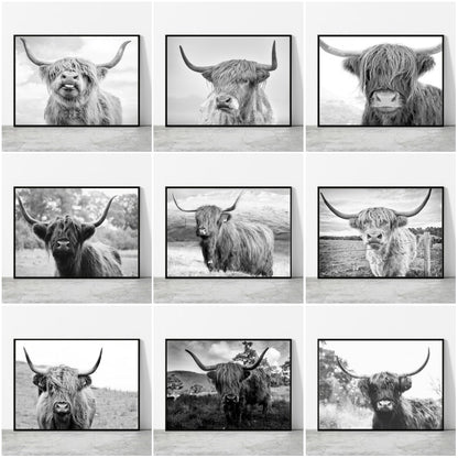 Black and White Highland Cow Canvas Prints - myfunfarm