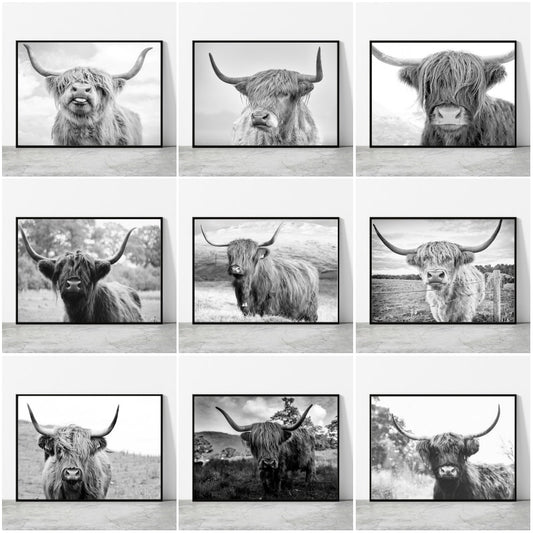 Black and White Highland Cow Canvas Prints - myfunfarm