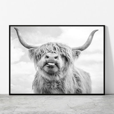 Black and White Highland Cow Canvas Prints - myfunfarm
