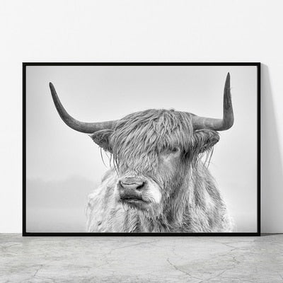 Black and White Highland Cow Canvas Prints - myfunfarm