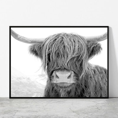 Black and White Highland Cow Canvas Prints - myfunfarm