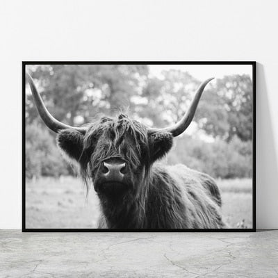 Black and White Highland Cow Canvas Prints - myfunfarm