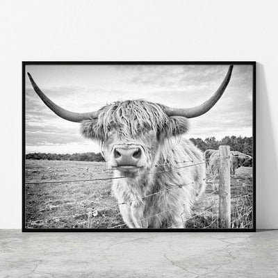 Black and White Highland Cow Canvas Prints - myfunfarm