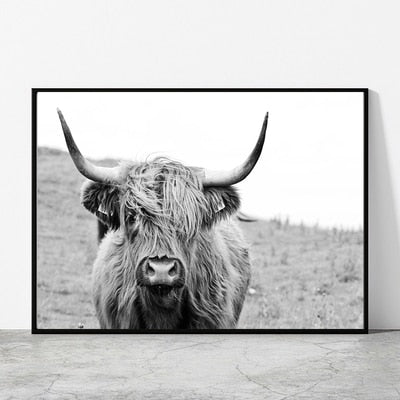 Black and White Highland Cow Canvas Prints - myfunfarm