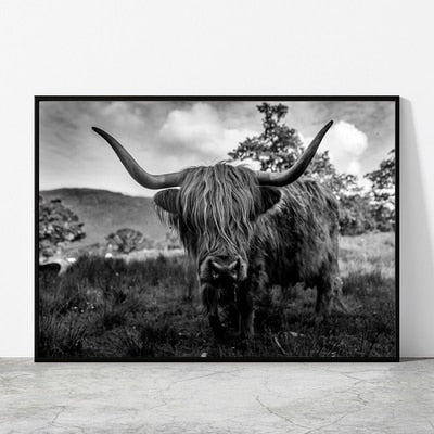 Black and White Highland Cow Canvas Prints - myfunfarm