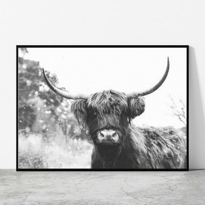 Black and White Highland Cow Canvas Prints - myfunfarm