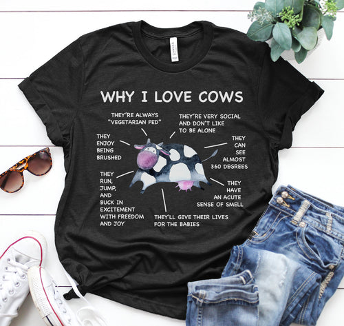 Why i love cows - funny design unisex  t-shirt , Hoodies